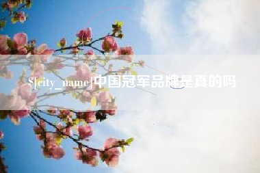 十堰中国冠军品牌是真的吗
