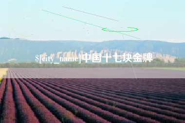 十堰中国十七块金牌