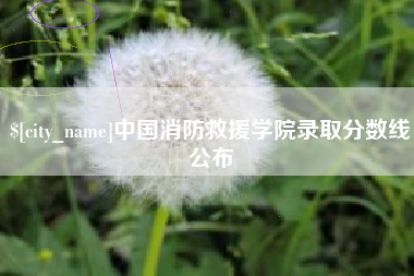 十堰中国消防救援学院录取分数线公布