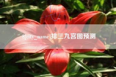 十堰排三九宫图预测