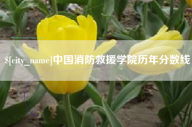 十堰中国消防救援学院历年分数线