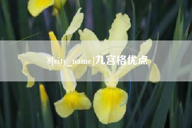 十堰九宫格优点