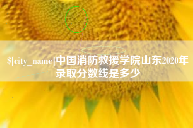 十堰中国消防救援学院山东2020年录取分数线是多少