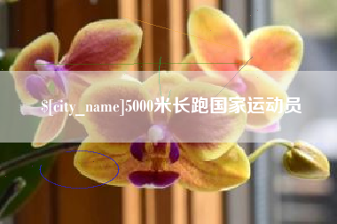 十堰5000米长跑国家运动员