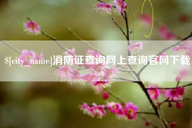 十堰消防证查询网上查询官网下载