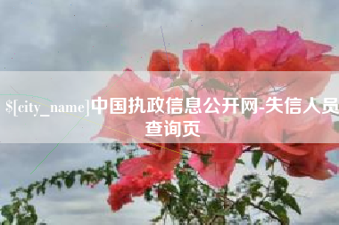 十堰中国执政信息公开网-失信人员查询页