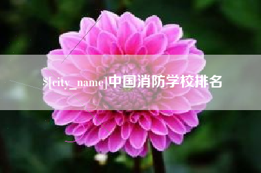 十堰中国消防学校排名