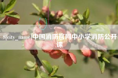 十堰中国消防官网中小学消防公开课