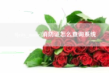 十堰消防证怎么查询系统
