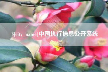 十堰中国执行信息公开系统