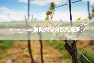 十堰消防大学分数线是多少