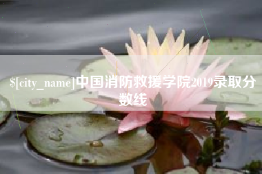 十堰中国消防救援学院2019录取分数线