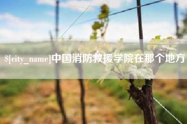 十堰中国消防救援学院在那个地方