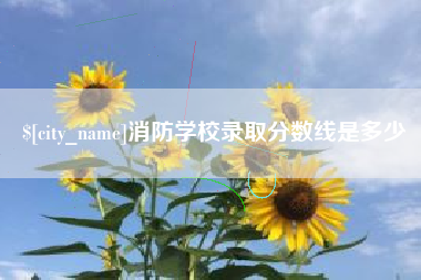 十堰消防学校录取分数线是多少