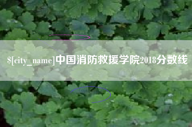 十堰中国消防救援学院2018分数线