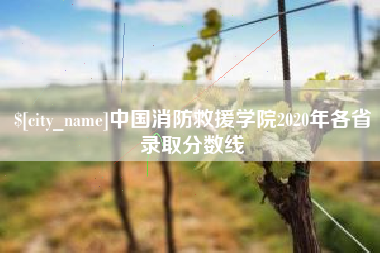 十堰中国消防救援学院2020年各省录取分数线
