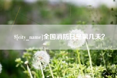 十堰全国消防日是第几天？