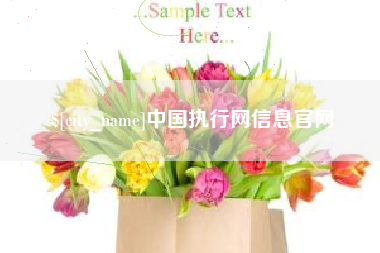 十堰中国执行网信息官网