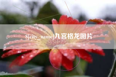 十堰九宫格龙图片