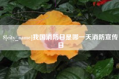 十堰我国消防日是哪一天消防宣传日
