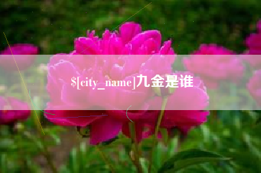 十堰九金是谁