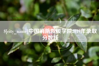 十堰中国消防救援学院2019年录取分数线