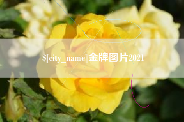 十堰金牌图片2021