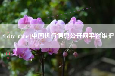 十堰中国执行信息公开网平台维护