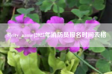 十堰2025年消防员报名时间表格