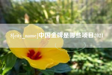 十堰中国金牌是哪些项目2021