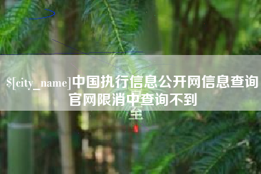 十堰中国执行信息公开网信息查询官网限消中查询不到