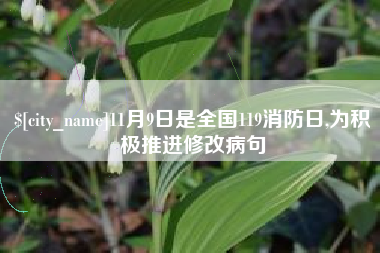十堰11月9日是全国119消防日,为积极推进修改病句