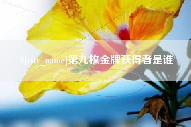 十堰第九枚金牌获得者是谁