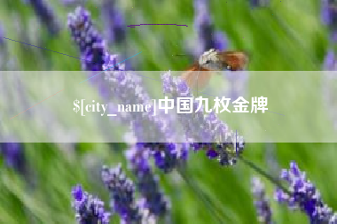 十堰中国九枚金牌