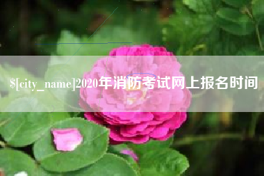 十堰2020年消防考试网上报名时间