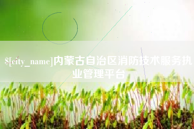 十堰内蒙古自治区消防技术服务执业管理平台