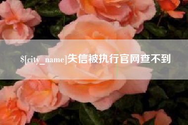 十堰失信被执行官网查不到