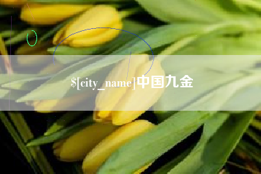 十堰中国九金