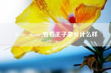 十堰看看王子豪长什么样