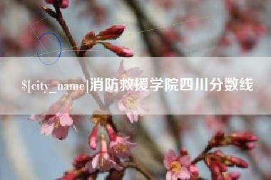 十堰消防救援学院四川分数线