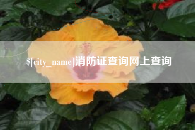 十堰消防证查询网上查询