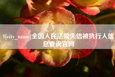 十堰全国人民法院失信被执行人信息查询官网
