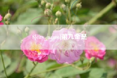 十堰第九金是