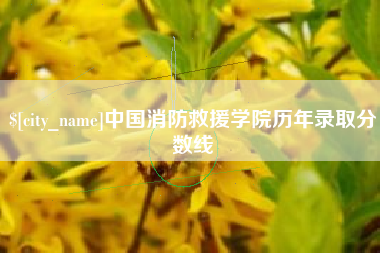 十堰中国消防救援学院历年录取分数线