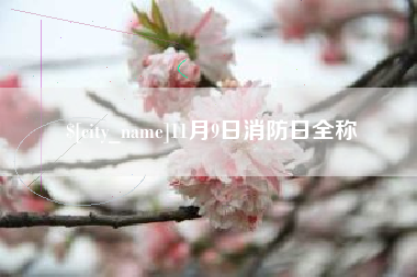 十堰11月9日消防日全称