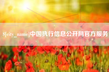 十堰中国执行信息公开网官方服务
