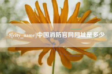 十堰中国消防官网网址是多少