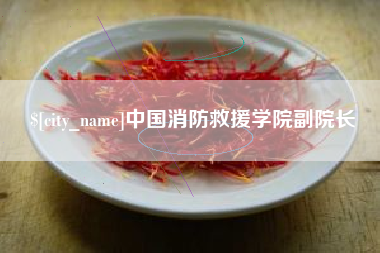 十堰中国消防救援学院副院长