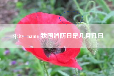 十堰我国消防日是几月几日