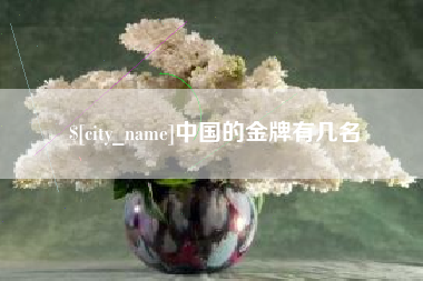 十堰中国的金牌有几名